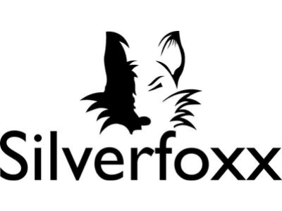 silverfoxx formazione vivalingue