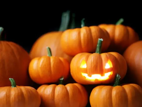 Jack o' Lantern: ad leggenda irlandese a simbolo globale